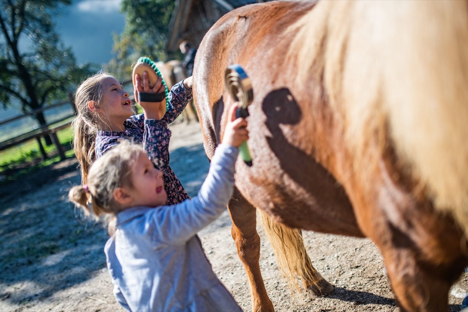 Two children brushing a horse together at the farm